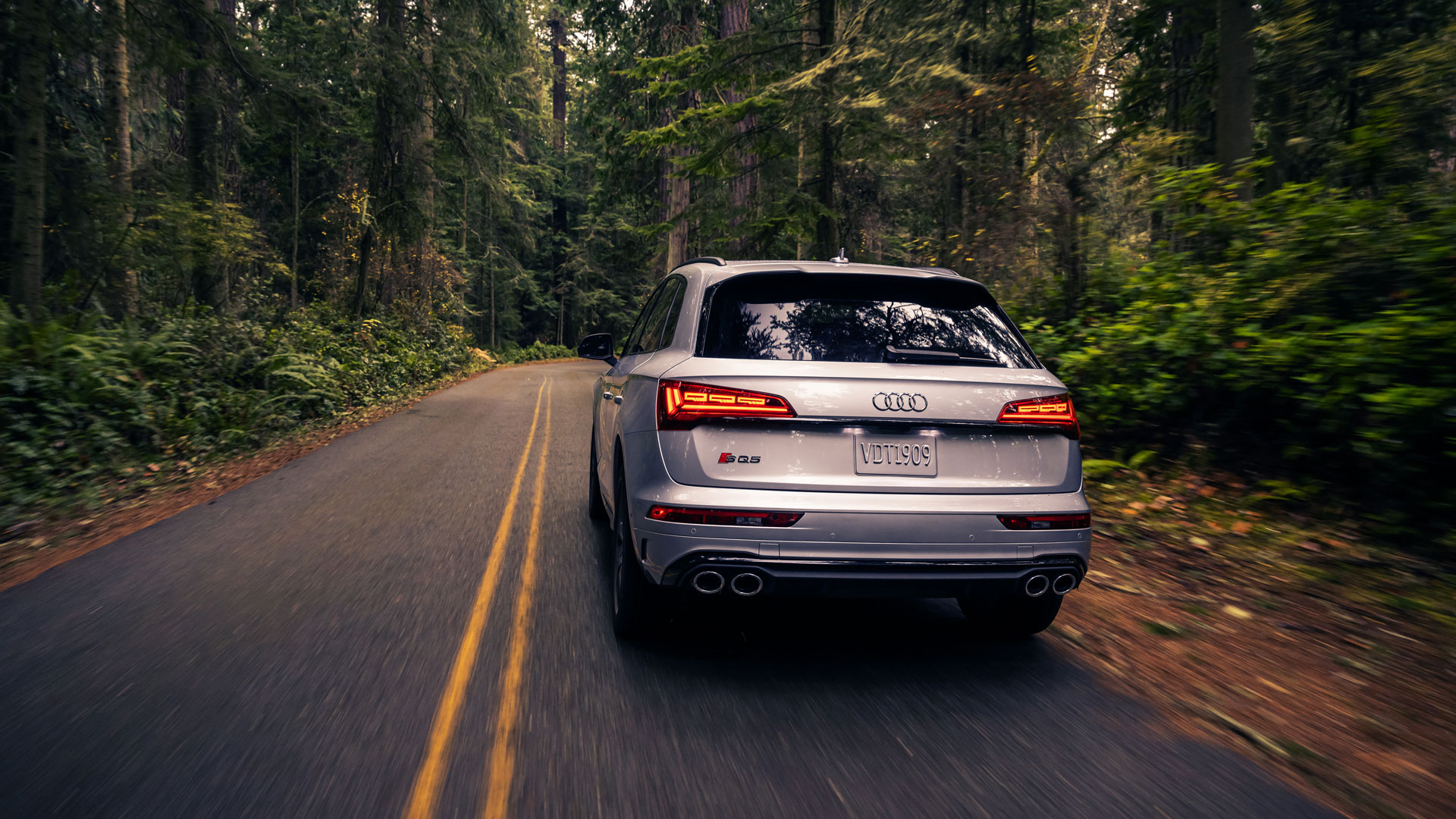 Rear view of a silver Audi SQ5 driving on a forested road. 